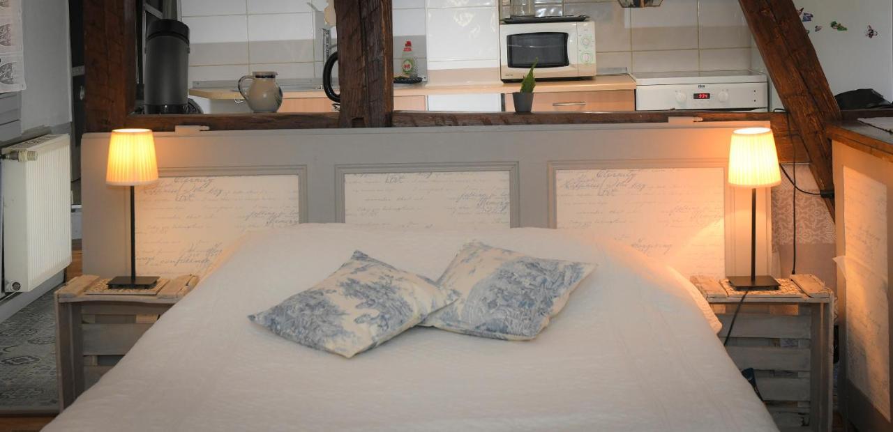 Le Duplex Leilighet Colmar Eksteriør bilde